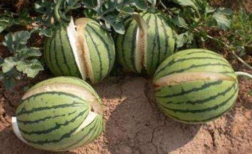 榆次吃瓜最新事件爆料是真的吗,真相揭秘还是网络谣言？